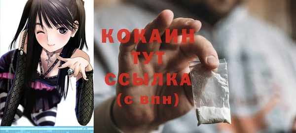 гашик Богородицк
