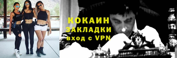 крисы Богородск