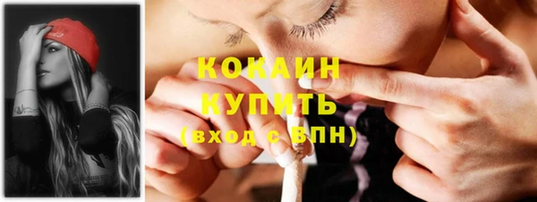 крисы Богородск