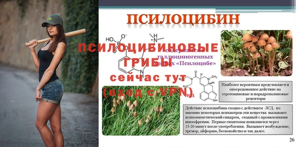 гашик Богородицк