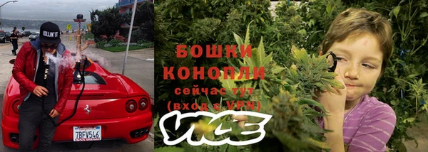 крисы Богородск