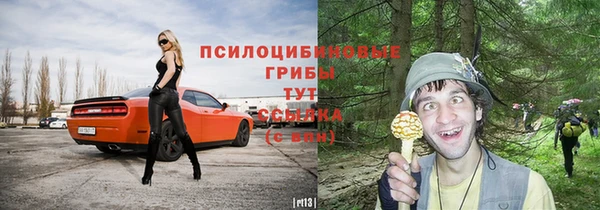 гашик Богородицк