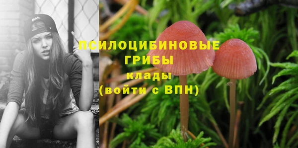 гашик Богородицк